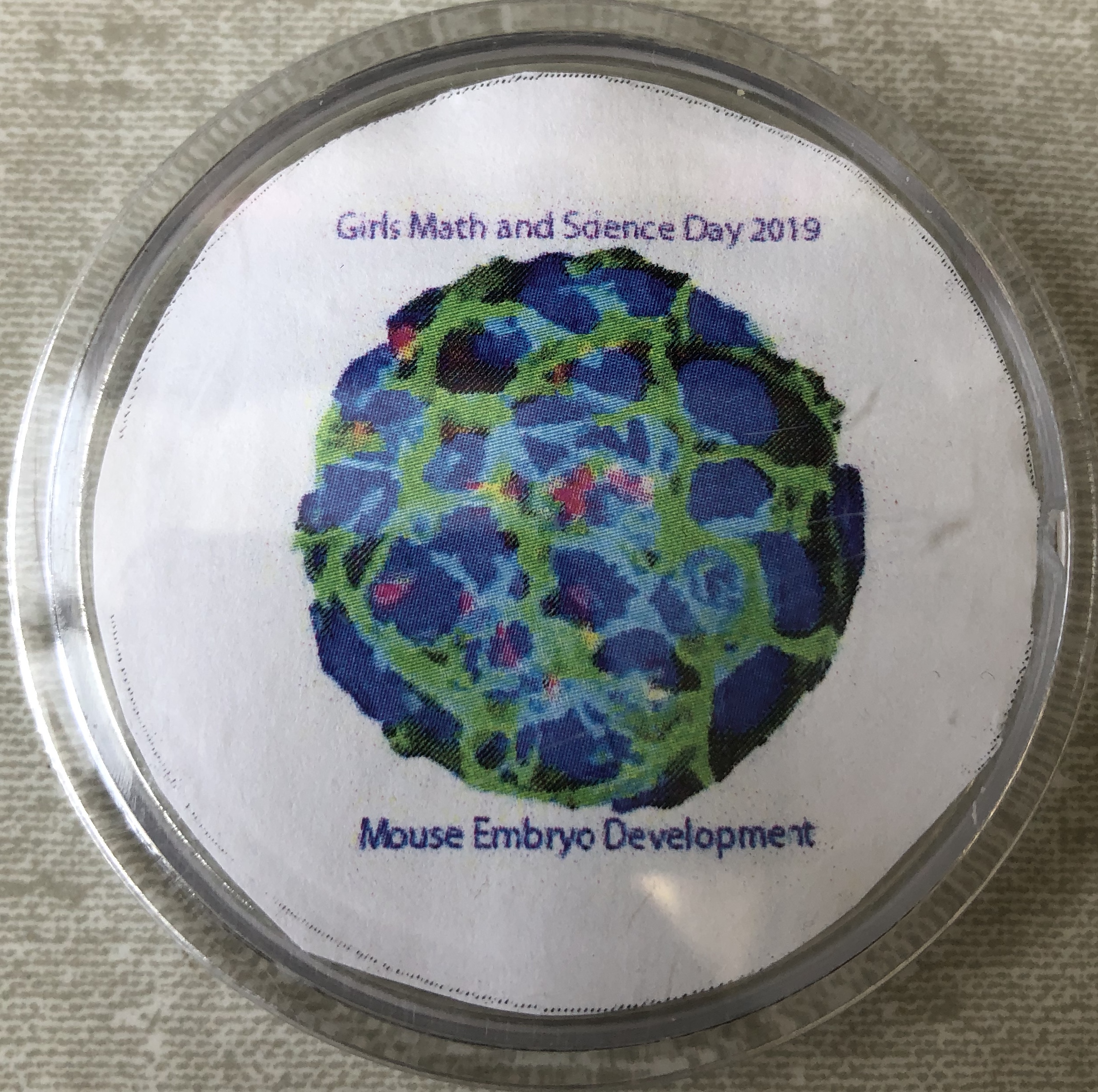 GMSD 2019 Pins