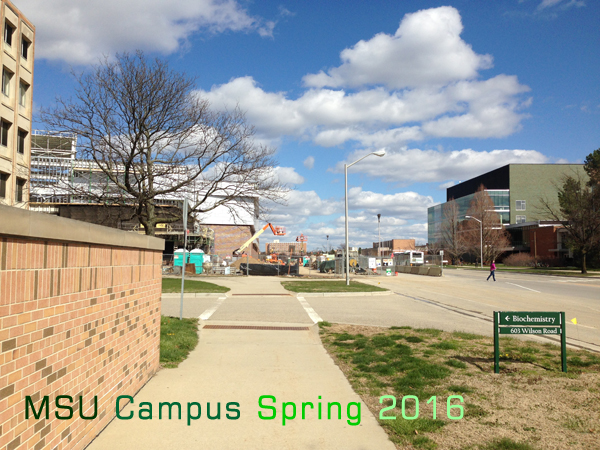 msu.campus.spring.2016